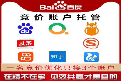 某大型企业选择SEM竞价代运营公司的决策过程与效果评估